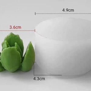 Succulent Jar Candle Mold (Round Silicone)